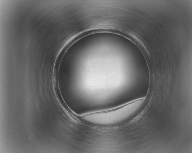 X0000059041077200510070819