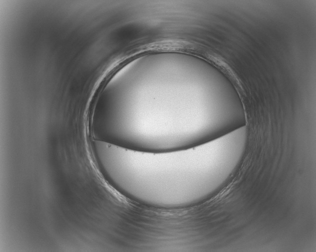 X0000059041083200510070819