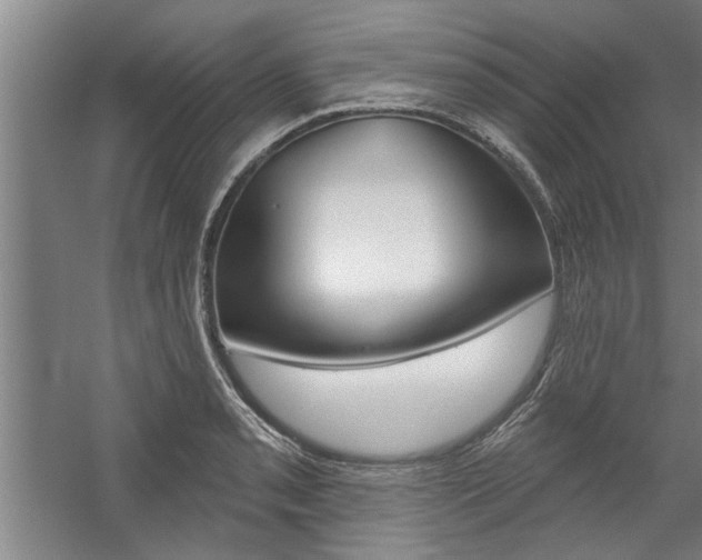 X0000059041085200510070819