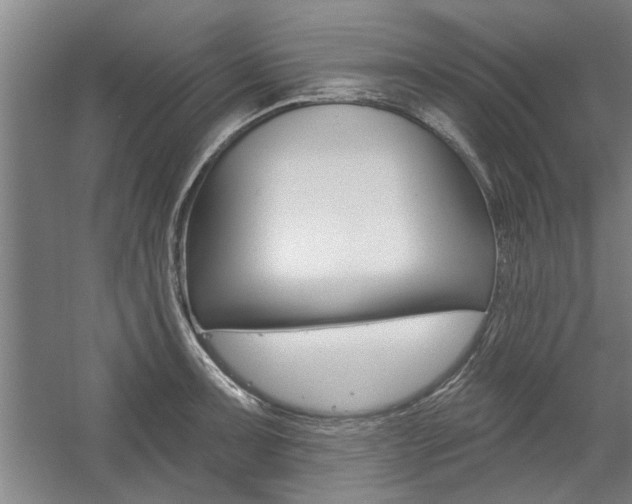 X0000059041091200510070819