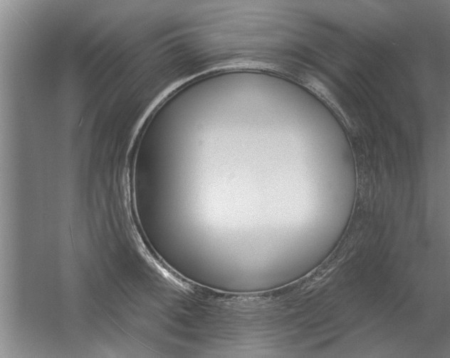 X0000059041092200510070818