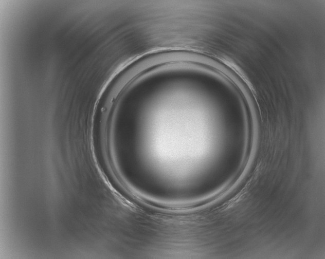 X0000059041093200510070818