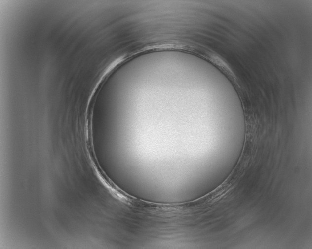 X0000059041095200510070818