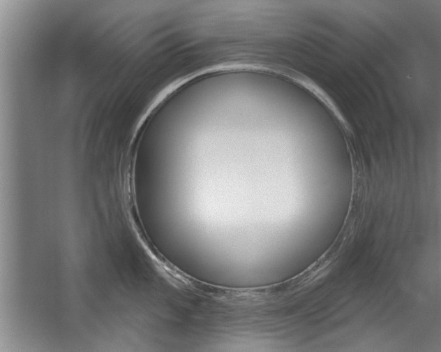 X0000059041101200510070818