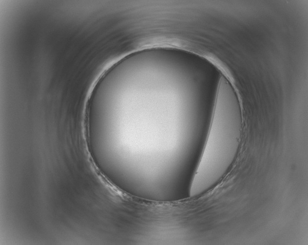 X0000059041104200510070818