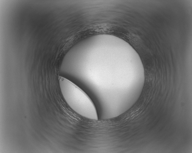 X0000059041106200510070817