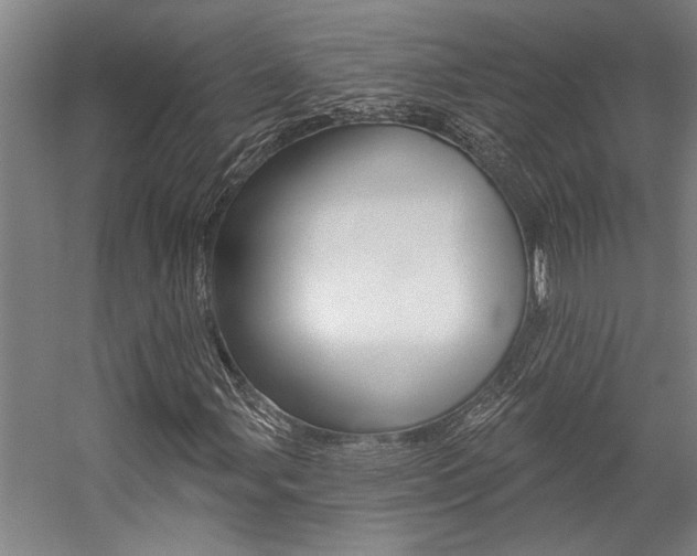 X0000059041107200510070818