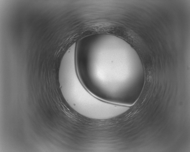 X0000059041108200510070818