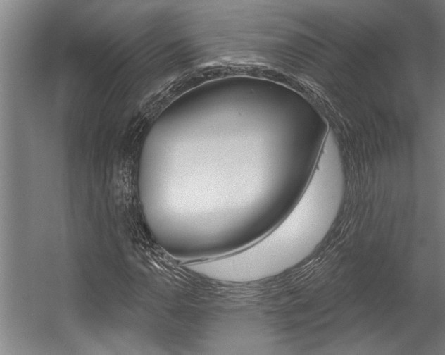 X0000059041110200510070818