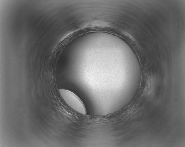 X0000059041112200510070818