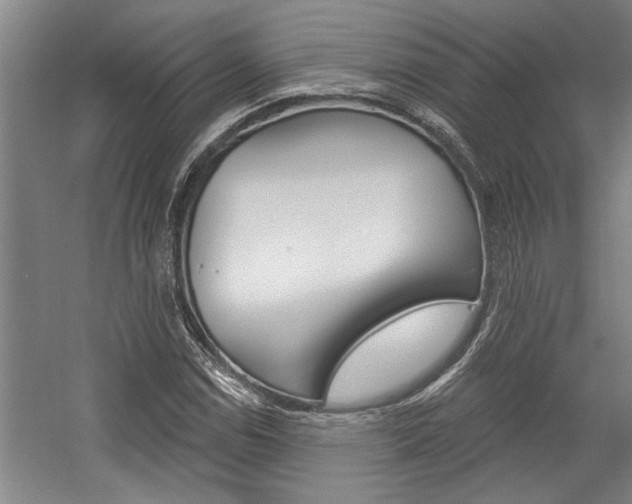 X0000059041114200510070818