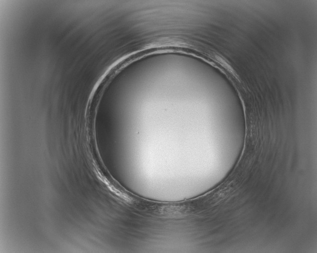 X0000059041116200510070818