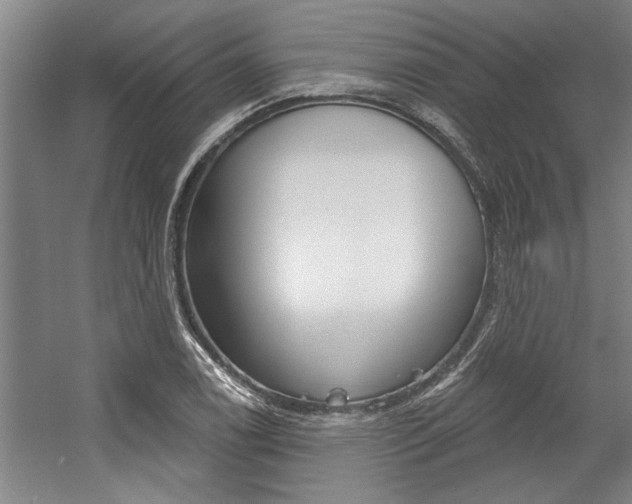 X0000059041122200510070818