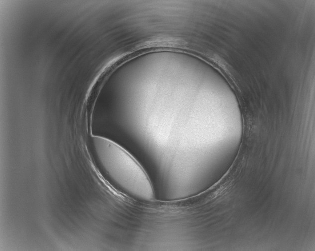 X0000059041123200510070818