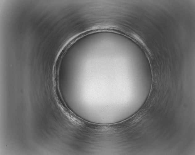 X0000059041124200510070818