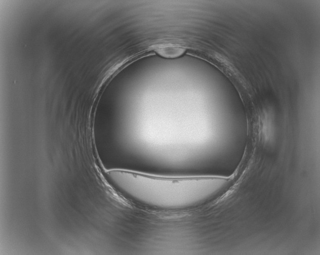 X0000059041129200510070818