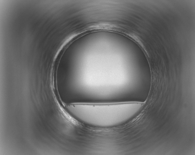 X0000059041131200510070818
