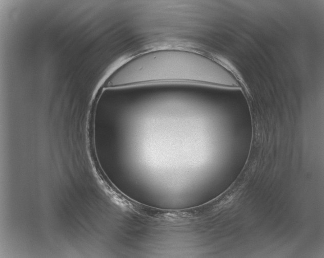 X0000059041138200510070818