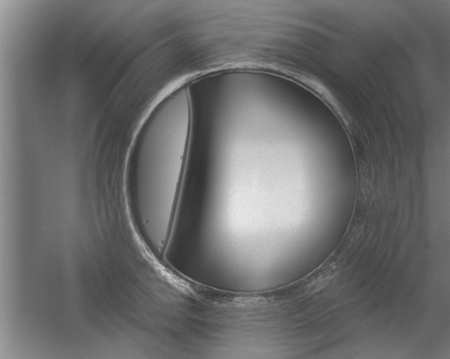 X0000059041142200510070818