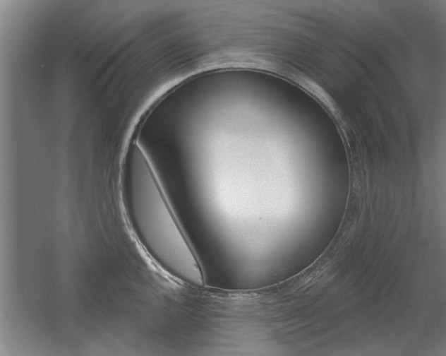 X0000059041144200510070818