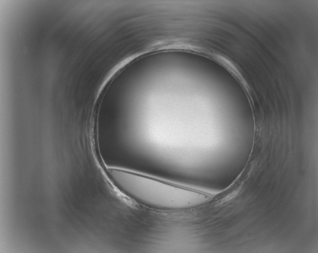 X0000059041149200510070818