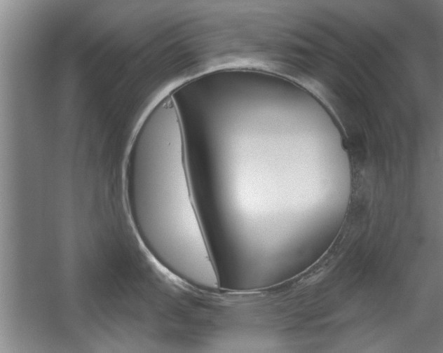 X0000059041151200510070818
