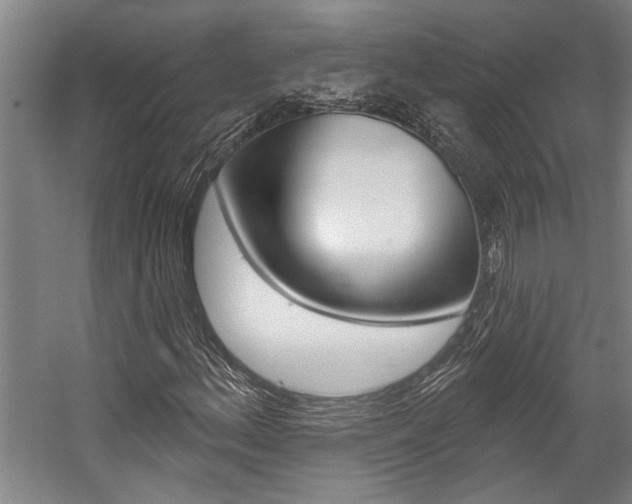 X0000059041156200510070817