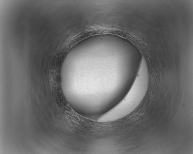 X0000059041157200510070817