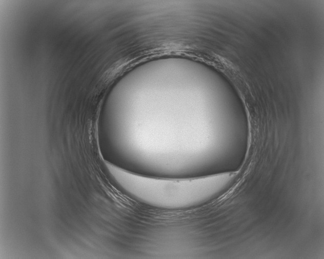 X0000059041161200510070817