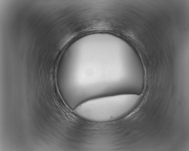X0000059041162200510070817