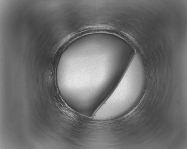 X0000059041163200510070817