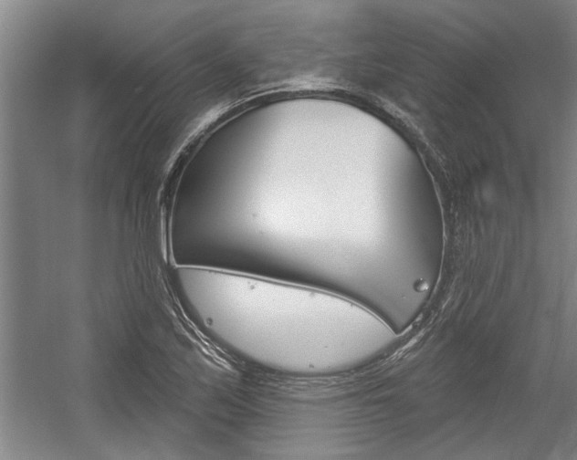 X0000059041171200510070817