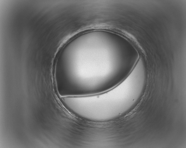 X0000059041176200510070817