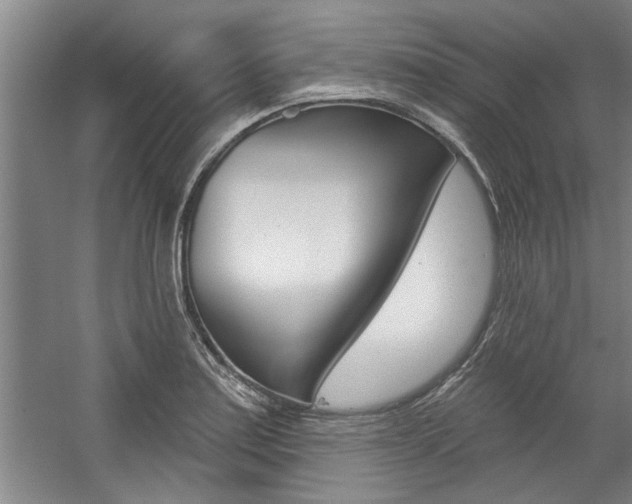X0000059041179200510070817