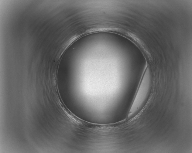 X0000059041185200510070817