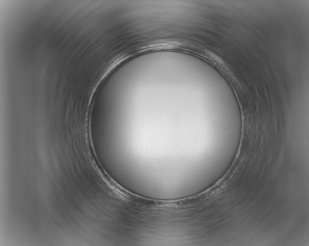 X0000059041186200510070817