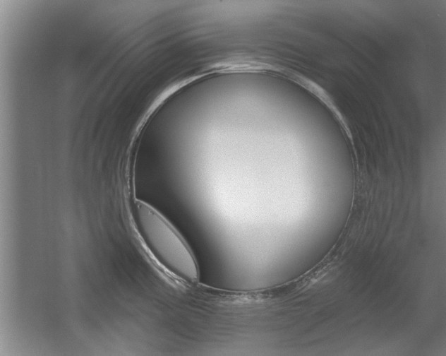 X0000059041195200510070817