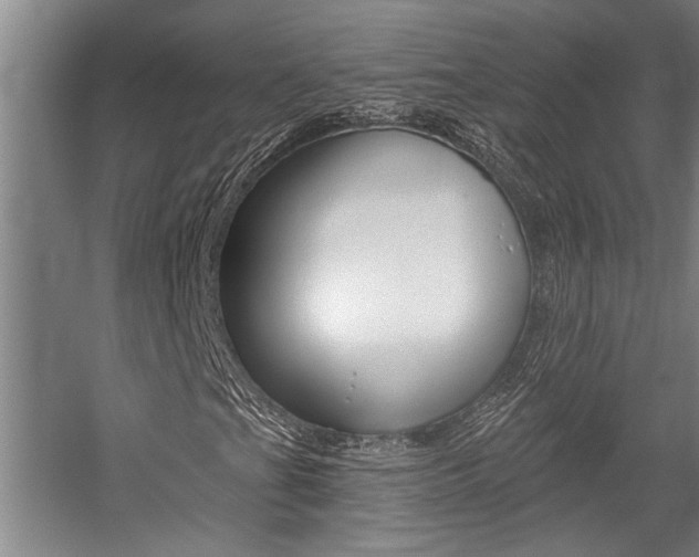 X0000059041201200510070816