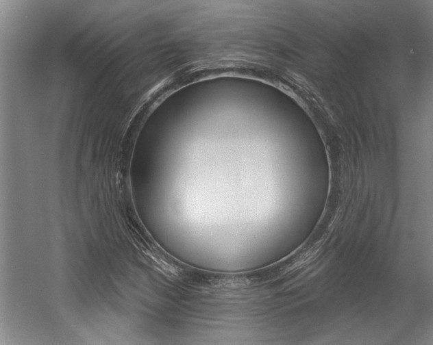X0000059041210200510070816
