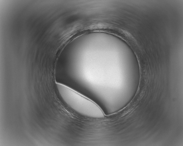 X0000059041217200510070816