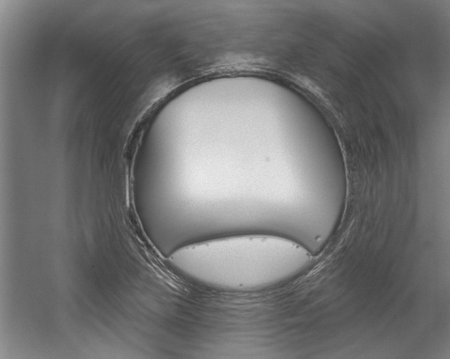 X0000059041219200510070816