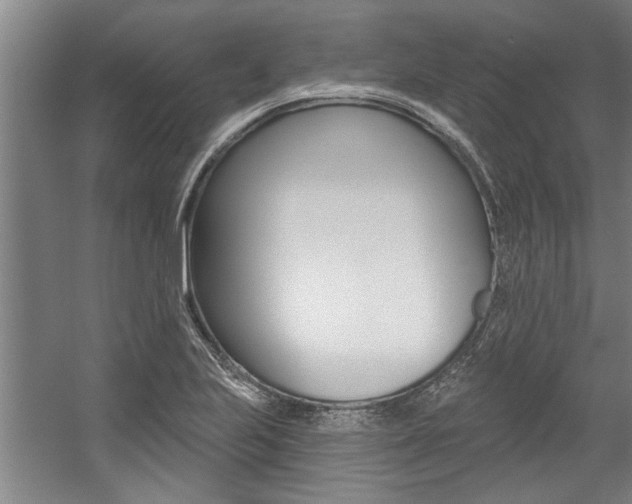 X0000059041223200510070816