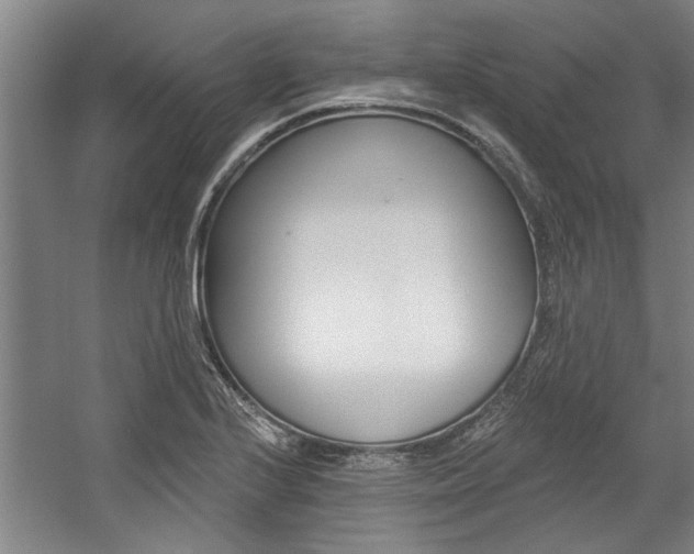 X0000059041224200510070816