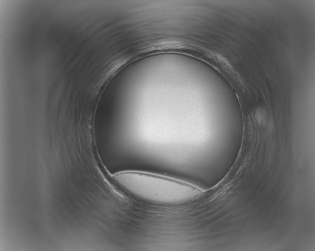 X0000059041225200510070816