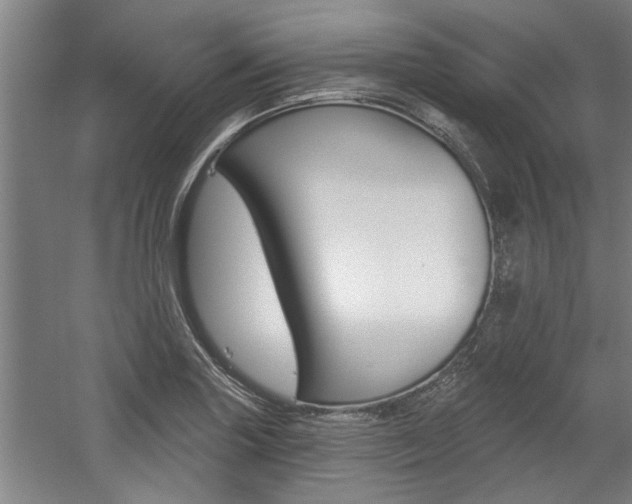 X0000059041227200510070816