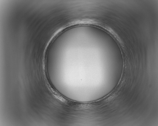 X0000059041232200510070816