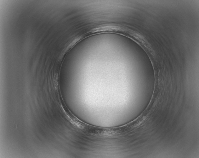 X0000059041233200510070816