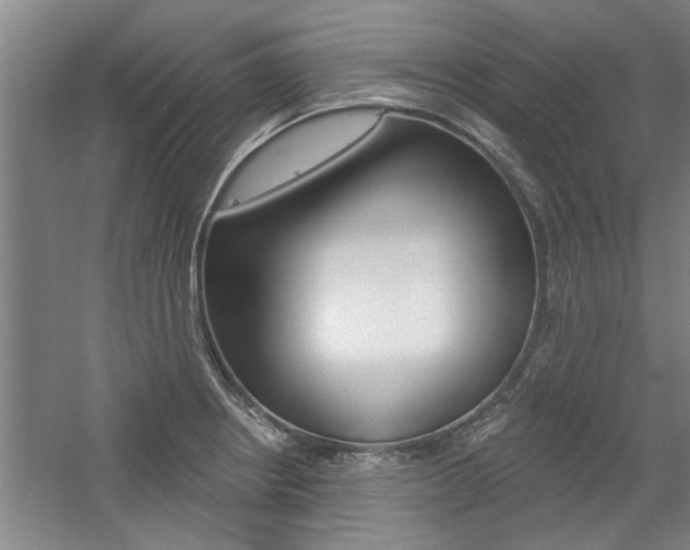 X0000059041234200510070816