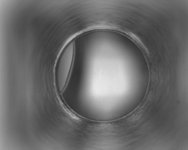 X0000059041238200510070816