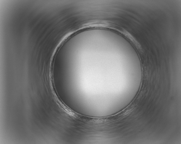 X0000059041240200510070817